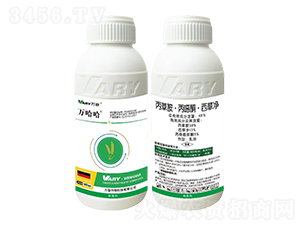 48%���ݰ������fͪ�����݃�-�f(w��n)����-�f(w��n)��