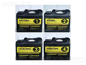 一調(diào)三補(bǔ)5000ml-金回報(bào)