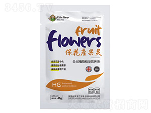 ���������`-�۶�����