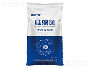 ����̼����������-���o��-�����S