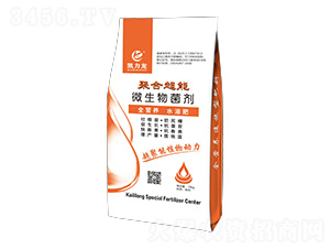 �ۺ˳���΢�������-�P����