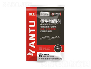 ΢�������-����Q��-��������