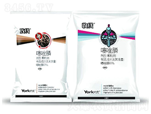 10%������w����-����/�վ�-�s���r(n��ng)��