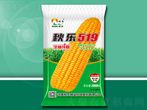 �(l��)519-���׷N��-�(l��)�N�I(y��)