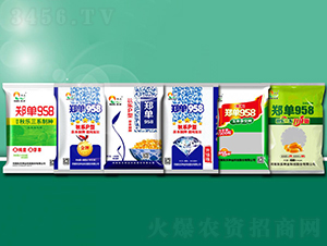 ����958-���׷N��-�(l��)�N�I(y��)