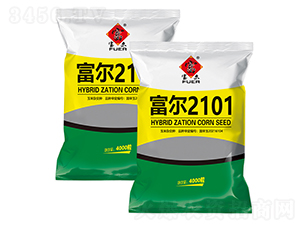 ����2101-���׷N��-�����r(n��ng)ˇ