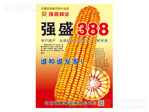 ��(qi��ng)ʢ388-���׷N��-��(qi��ng)ʢ�N�I(y��)