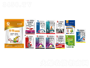 ���ױ���M�����b-�l(xi��ng)�弾�L(f��ng)