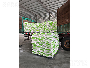 ���ϴ��ӹ���5��