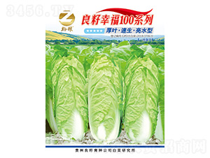 白菜種子-良籽幸福100系列-良籽農(nóng)業(yè)