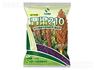 �x��210-�����N��-���S�N�I(y��)