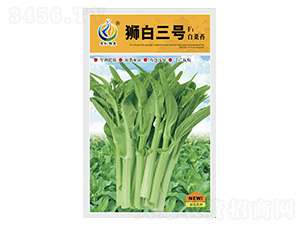 �{����̖(h��o)-��޷�N��-���ؿƼ�