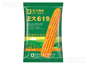 ����619-���׷N��-����N�I(y��)