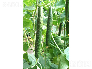 �f�_(d��)C19-�S�ϷN��-�͝��r(n��ng)�I(y��)