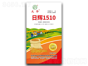 日輝1510-小麥種子-大華種業(yè)