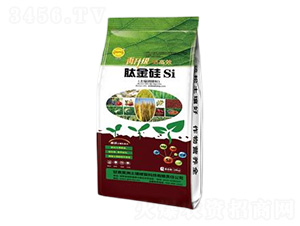 �����{(di��o)�턩-�Ľ��-��������ޏ�(f��)