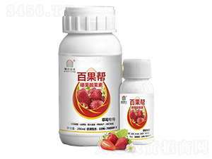 草莓專用硬果靚果素-百果幫-瑞森嘉禾