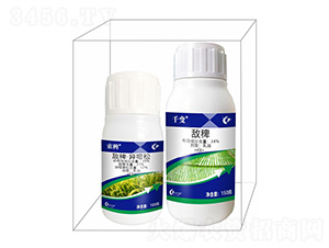 ���޽M���a���-����¡����