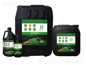 海藻精萃超濃液-恩正