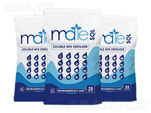 嬌壯大量元素-恩正