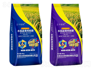 水稻返青柯杈肥-圭辛嫁稻-大地豐