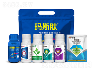 小麥套餐-瑪斯肽