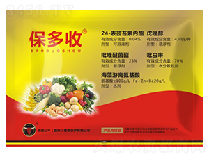 ������-��ţ��(gu��)�H