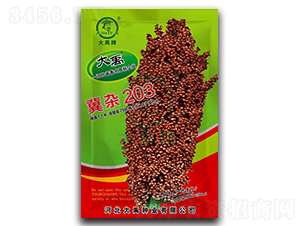 冀雜203高粱種子-大禹種業(yè)