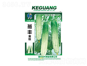 ���S�S��-�ƹ�N��