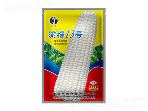 ��Ŵ13̖-�ƹ�N��