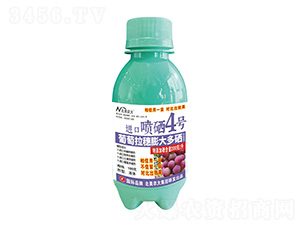 100�����������������M(j��n)�ڇ���4̖(h��o)-�����r(n��ng)��