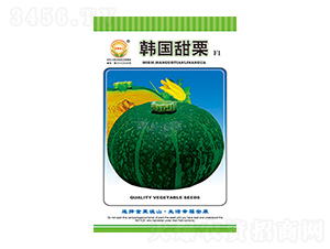 南瓜種子-韓國甜栗-太樂種業(yè)