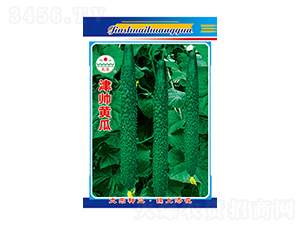 �S�ϷN��-���S��-̫���N�I(y��)