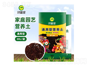 �I(y��ng)�B(y��ng)��-�G����