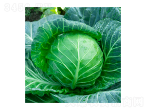 ���{�N��-學�312-�A孷N�I(y��)