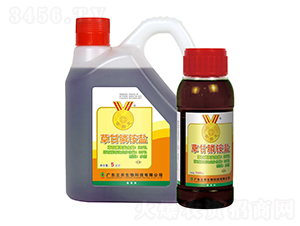 33%�ݸ��ˮ����������ˎˮ��-���FԪ-�V�|���r