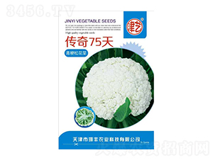 ���˷N��-����75��-���S�r(n��ng)�I(y��)