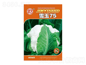 ���˷N��-ѩ��75-���S�r(n��ng)�I(y��)