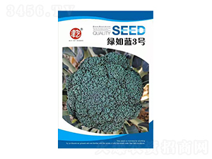 ���m���N��-�G���{3̖-���S�r(n��ng)�I(y��)