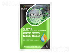 哈茨木霉菌-邦瑞達-瑞谷生物