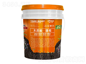 木質(zhì)酸·爆根-施沃克